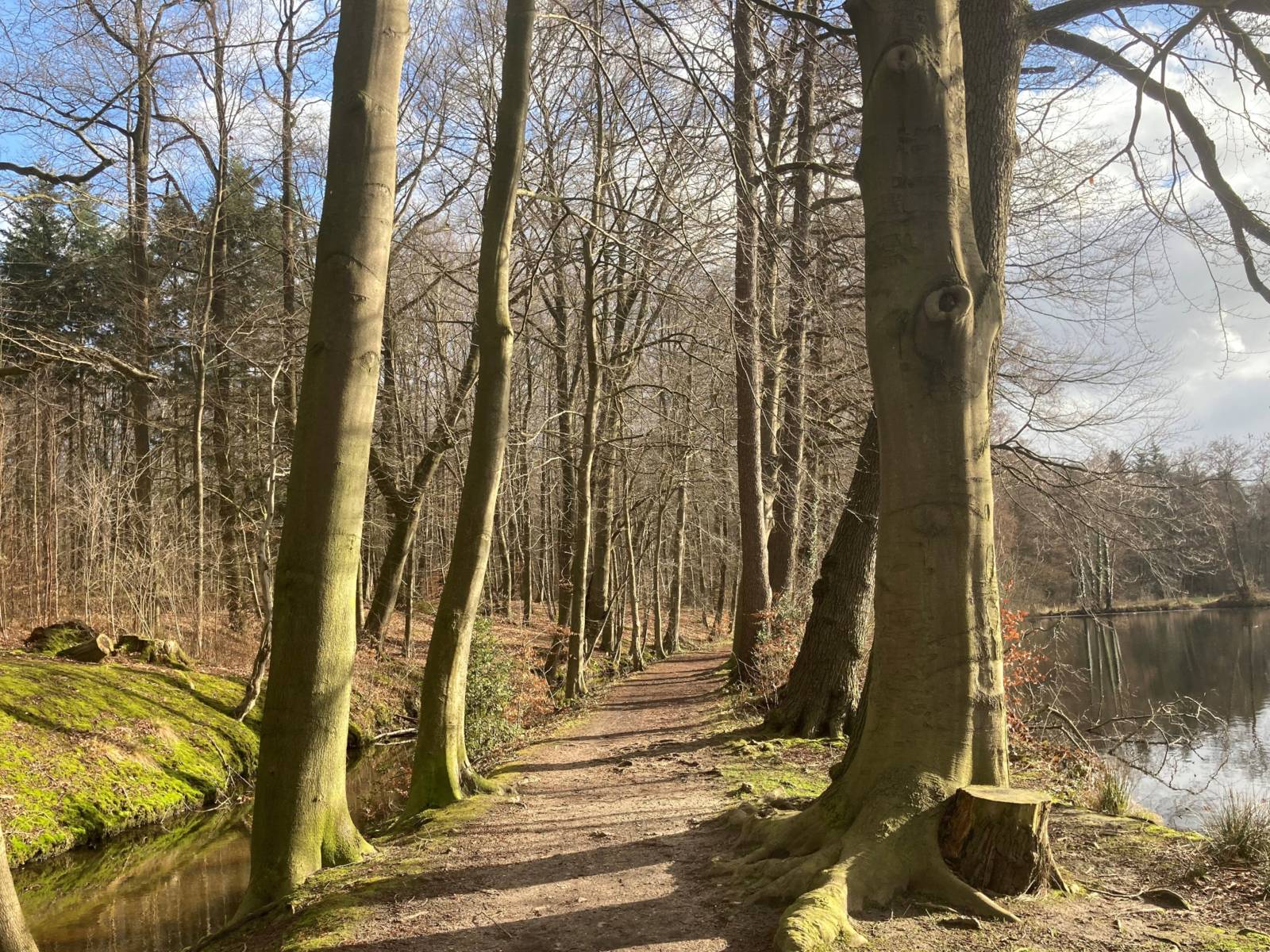 In der Mitte ist ein von Bäumen umstandener Wanderweg, links fließt ein Bach und rechts ist ein Teich.
